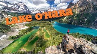 Lake O'Hara, a Place Only Accessible By School Bus in Yoho Park - Banff & RV Episode 3