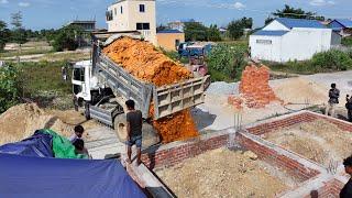 Start New Project Landfill Building House !! Bulldozer Push Soil and truck 5Ton Unloading Soil