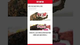 대한민국 창렬 아이스크림 넘버원