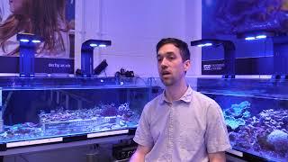 Coral Reef Research – Environmental Sustainability Research Centre