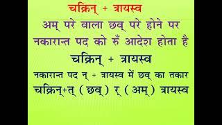 #नश्छव्यप्रशान्#चक्रिन्#त्रायस्व#हल्#सन्धि#लघुसिद्धान्त#कौमुदी