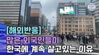 많은 외국인들이 한국에 계속 살고있는 이유 [해외반응]