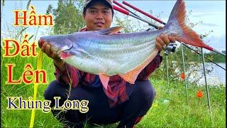 Đụng Hàng Khủng Hầm Đất Kéo Bay Cần Xuống Hầm#fishing