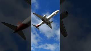 QantasLink arrives from NTL (Newcastle) to ADL (Adelaide) #qantas #plane #spotting #aviation