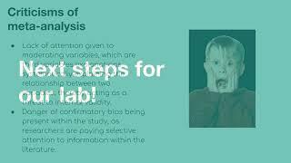 IC LAB'S META ANALYSIS GUIDE