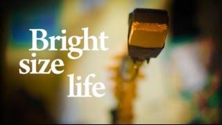 Bright Size Life - Renato & Sephyrot Jazz Quintet