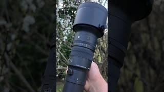 Sigma 500mm f5.6 DG DN OS Sport #lens #photography