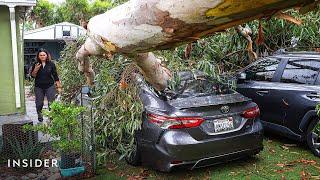 Videos Show Damage As Tropical Storm Hilary Slams Into Southern California | Insider News