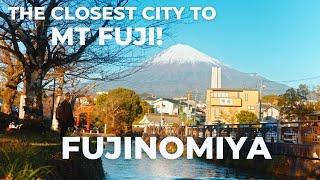 One Day in FUJINOMIYA: What to See, Eat, and Explore!