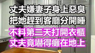 丈夫嫌妻子身上惡臭，把她趕到客廳分開睡，不料第二天打開衣櫃，丈夫竟嚇得癱在地上#淺談人生#民間故事#為人處世#生活經驗#情感故事#養老#花開富貴#深夜淺讀#幸福人生#中年#老年