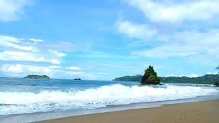 Ocean Sounds For Deep Sleep Study Focus Relaxation or Meditation (Secluded Beach in Costa Rica)