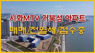 시화MTV 거북섬 아파트 매매 전세 월세 접수