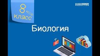 Биология. 8 класс. Гигиена питания. Инфекционные заболевания органов пищеварения и их профилактика