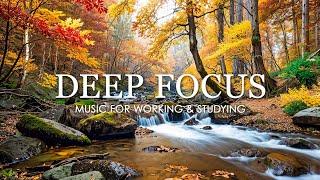 Work Music for Concentration - 12 Hours of Ambient Study Music to Concentrate #8