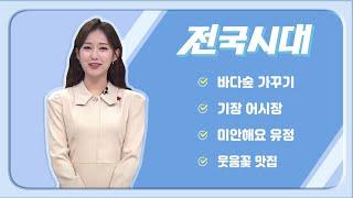 2024.12.17 (화) 전국시대 / 안동mbc