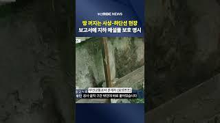 지반조사보고서 입수.. "지하 매설물 보호" 명시