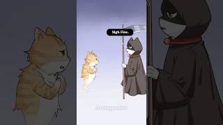 You don’t want to reincarnate? #cat #animals #death