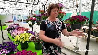 Welcome to Syngenta Flowers Digital Summer Trials 2021: Blooming Brightly!