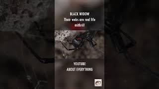 Real life mithril produced by black widows! #shorts #blackwidow #spider #mithril