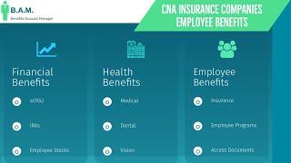 CNA Insurance Companies Employee Benefits | Benefit Overview Summary