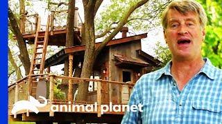 Building An Unbelievable Rustic River Treehouse | Treehouse Masters