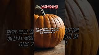 호박따는꿈 #꿈해몽 #예언 #예지몽