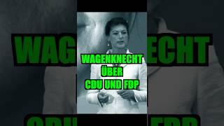 #sarahwagenknecht #bsw #afd #neuwahlen #amplmusweg #lacroix #fyp