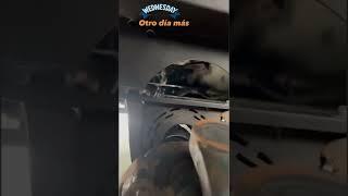 Carrier bearing damaged