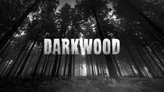 DARKWOOD OST - Main Theme + Menu Song [EXTENDED]