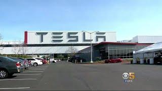 Tesla Turns Its Largest Profit, First In 2 Years