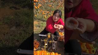 The Persimmon   Fruits in Her Garden are Really Beautiful #shorts #satisfying #youtubeshorts