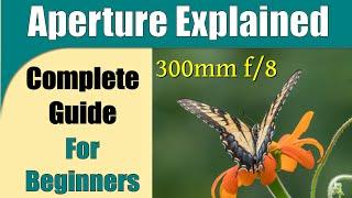 Aperture Explained: A Complete Guide for Beginners ep.364