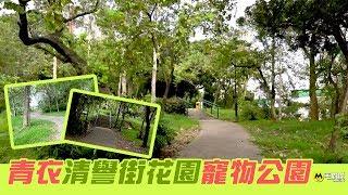 【十八區狗公園】青衣清譽街花園寵物公園｜毛城城 MoCity