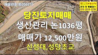 (토200310)당진토지매매,충남토지,사기소동 논매매, 3425제곱미터