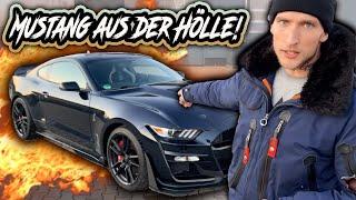 770 PS ! Wie kann das legal sein !? Ford Mustang Shelby GT500 (extrem)