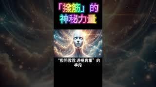 撥筋的神秘力量：養生秘密