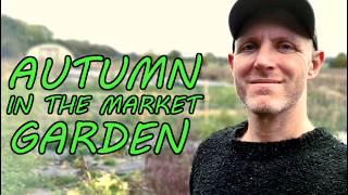 Autumn's BEST Kept Secret for a THRIVING Market Garden! (Next Year's Season Starts NOW)