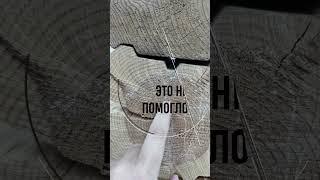 Деформации профилированного бруса