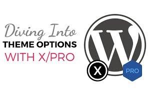 WordPress Beginner Tutorials - Diving into the Theme Options with Pro