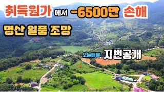 [급매] 매입원가-6500만원 손해보고 팔아요ㅣ 금수산 소백산 영구 뷰~ / 토지면적 847평ㅣ계획관리지역 ㅣ기반시설갖춘 귀농귀촌. 전원주택지 [충북단양토지] 부동산 전원일기tv