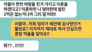 (반전사연)바람난 남편과 이혼하려는데 엄마한테 2억을 빌린 시모가 돈받고 싶으면 참고 살라는데..시댁에 엄마가 누군가와 차아오자 오줌을 지리는데[라디오드라마][사연라디오][카톡썰]