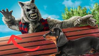 How To Make SCARY WEREWOLF Costume