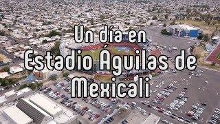 Los Águilas de Mexicali y su nido fronterizo