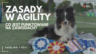 ZASADY W AGILITY: ZA CO DOSTANIECIE PUNKTY KARNE, A ZA CO DYSKWALIFIKACJĘ? | PAULINA I PSY