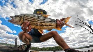 Solo Tiger Fishing in the Wild African Bush (Got a nice one!)