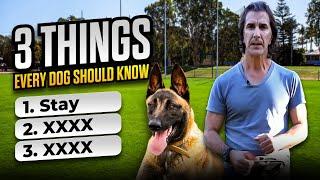 The Most Important Things to Teach Your Dog- Robert Cabral Dog Training #4