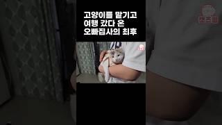 고양이를 맡기고 여행 갔다 온 오빠집사의 최후(ft.뚱빵이)