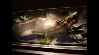 Tropical Terra : Nowoczesne terrarium dla Boa Dusiciela z szafką na wymiar (wersja klimatyczna)