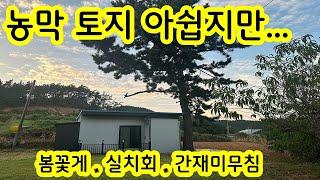 속상하지만 500만원 더 내립니다. 충남 태안 농막 세컨하우스 체류형쉼터 해수욕장 전원주택 태안부동산 ~ 몽땅 7천만원에 ~