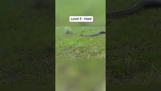 Ophidiophobia Test ️ #fyp #snake #ophidiophobia #fear #scary #tiktok #shorts